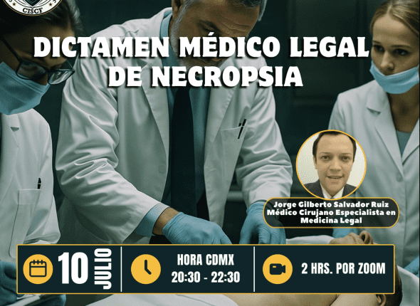 Captura de pantalla 2025-07-11 a las 12.41.59 a. m.